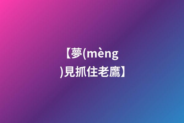 【夢(mèng)見抓住老鷹】