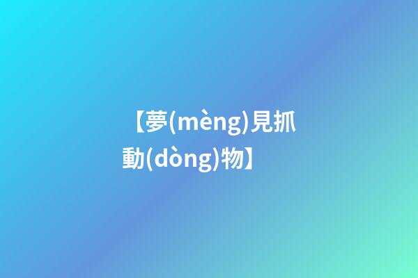 【夢(mèng)見抓動(dòng)物】