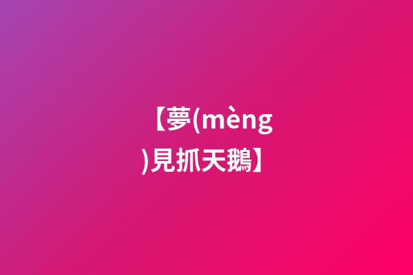 【夢(mèng)見抓天鵝】