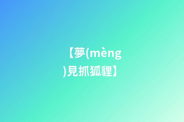 【夢(mèng)見抓狐貍】