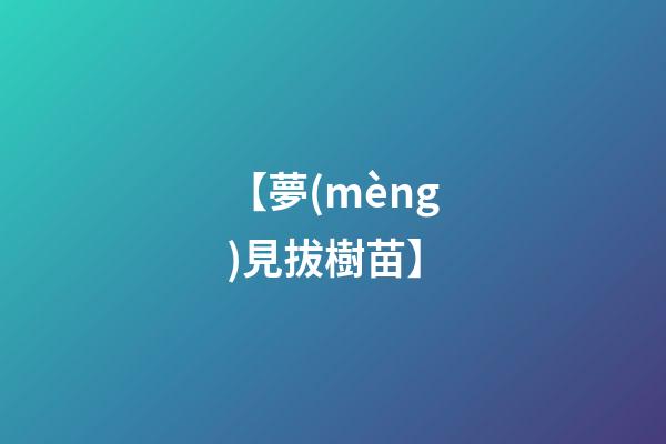 【夢(mèng)見拔樹苗】