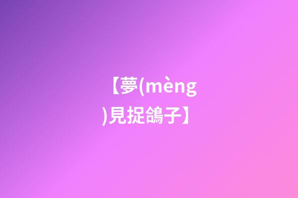【夢(mèng)見捉鴿子】