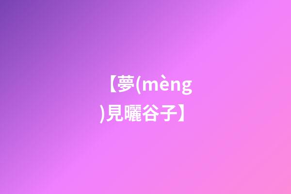 【夢(mèng)見曬谷子】