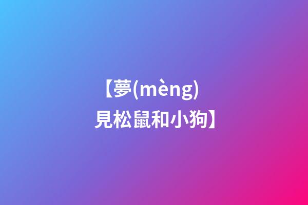 【夢(mèng)見松鼠和小狗】