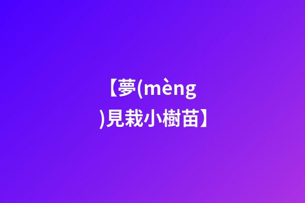 【夢(mèng)見栽小樹苗】