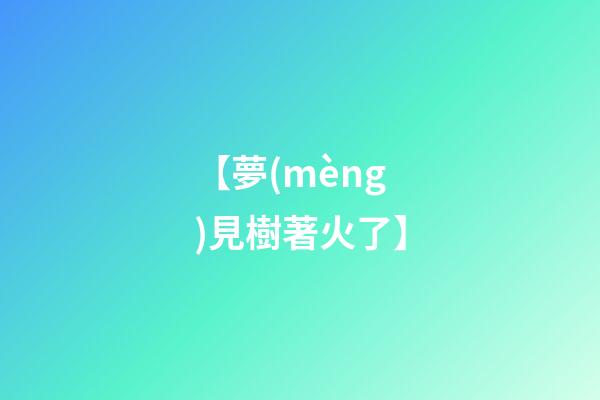【夢(mèng)見樹著火了】