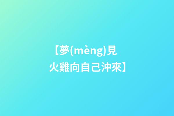 【夢(mèng)見火雞向自己沖來】
