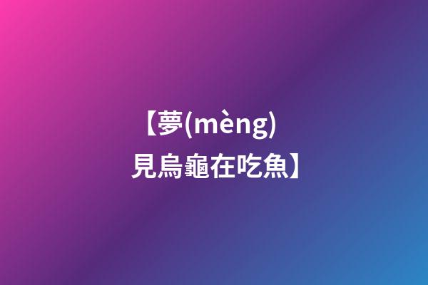【夢(mèng)見烏龜在吃魚】