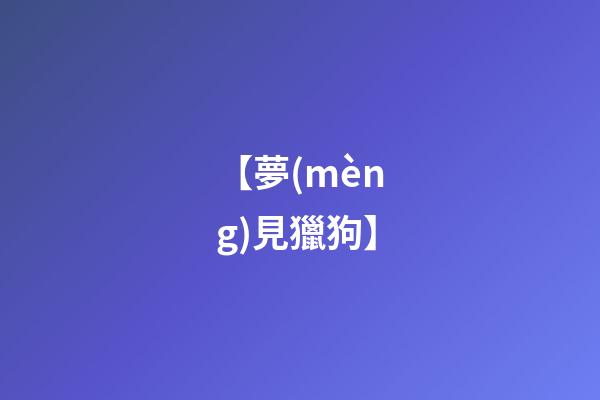 【夢(mèng)見獵狗】