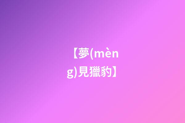 【夢(mèng)見獵豹】