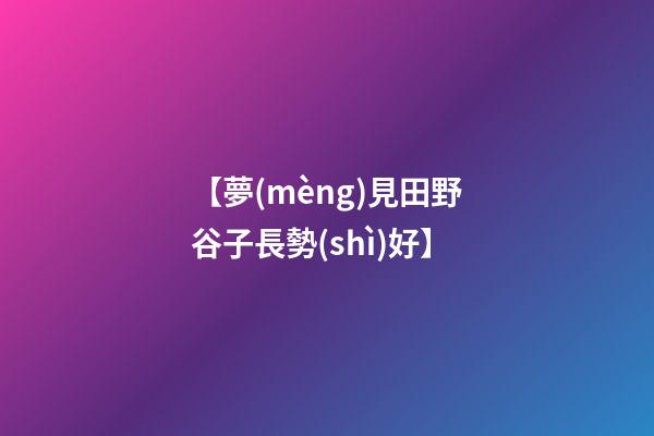 【夢(mèng)見田野谷子長勢(shì)好】