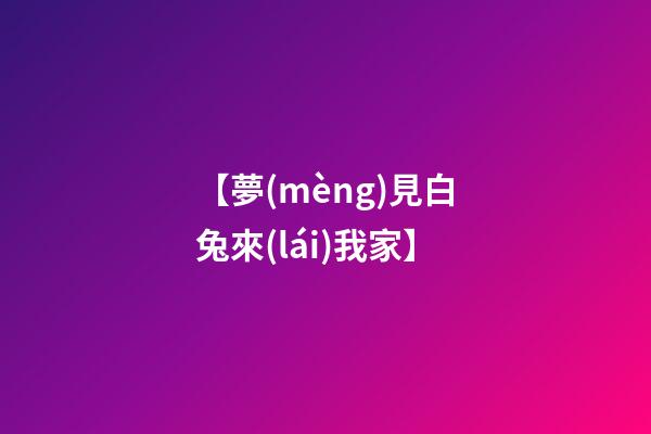 【夢(mèng)見白兔來(lái)我家】