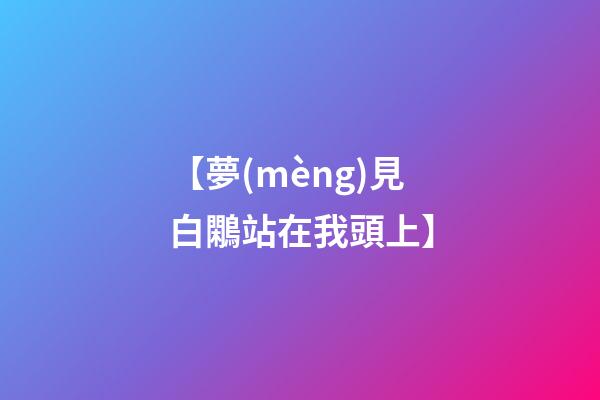 【夢(mèng)見白鷴站在我頭上】