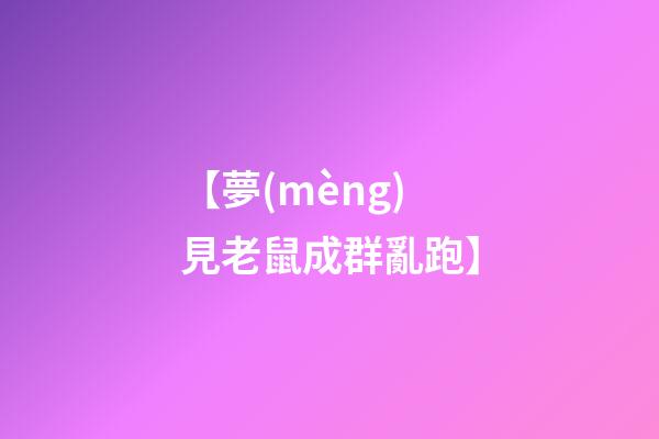 【夢(mèng)見老鼠成群亂跑】