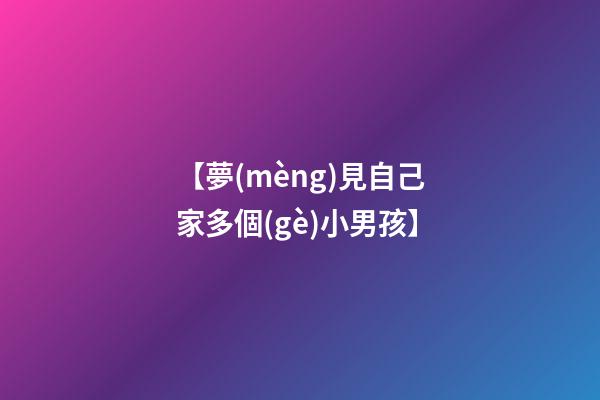 【夢(mèng)見自己家多個(gè)小男孩】