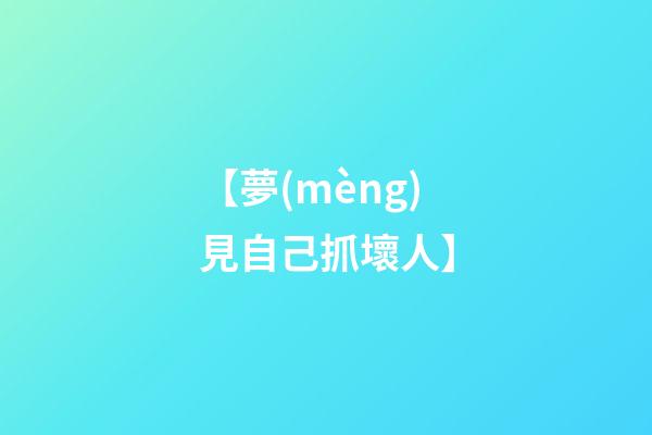 【夢(mèng)見自己抓壞人】