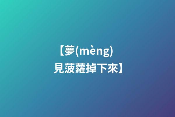 【夢(mèng)見菠蘿掉下來】