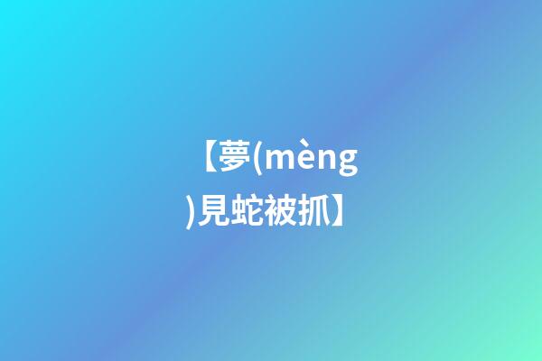 【夢(mèng)見蛇被抓】