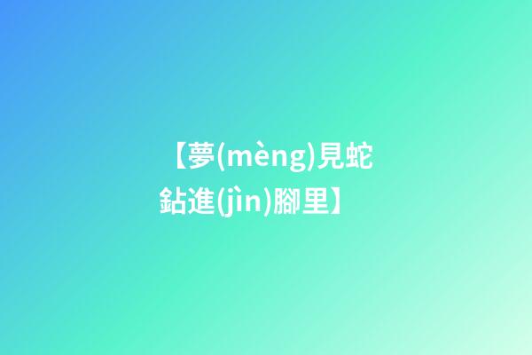 【夢(mèng)見蛇鉆進(jìn)腳里】