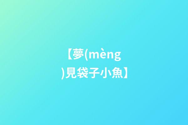 【夢(mèng)見袋子小魚】