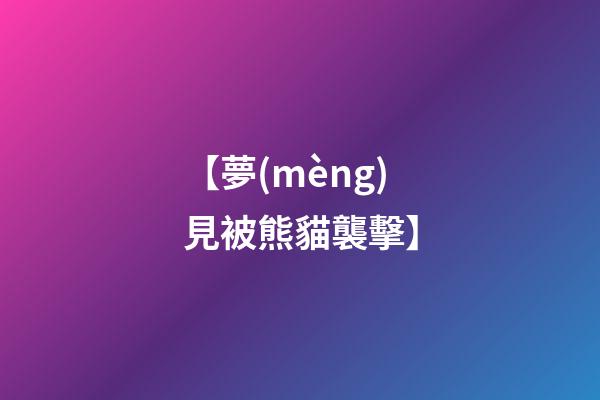 【夢(mèng)見被熊貓襲擊】