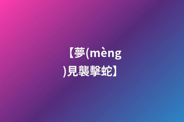 【夢(mèng)見襲擊蛇】