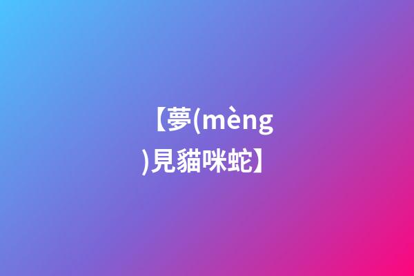 【夢(mèng)見貓咪蛇】