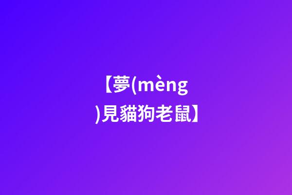 【夢(mèng)見貓狗老鼠】
