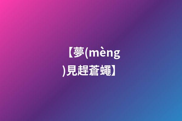 【夢(mèng)見趕蒼蠅】