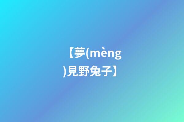 【夢(mèng)見野兔子】