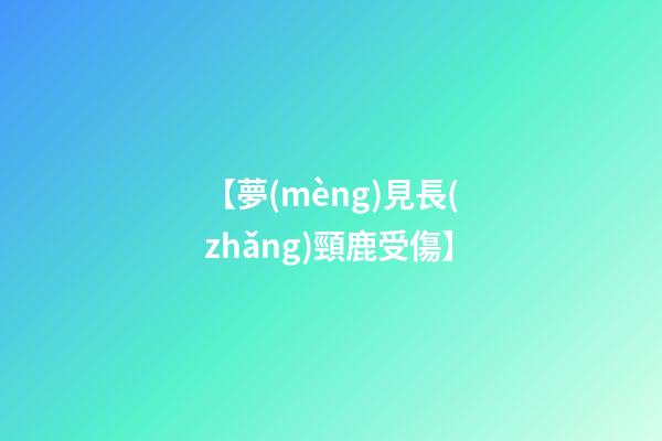 【夢(mèng)見長(zhǎng)頸鹿受傷】
