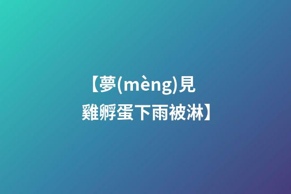 【夢(mèng)見雞孵蛋下雨被淋】