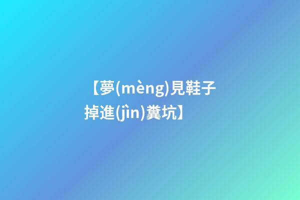 【夢(mèng)見鞋子掉進(jìn)糞坑】