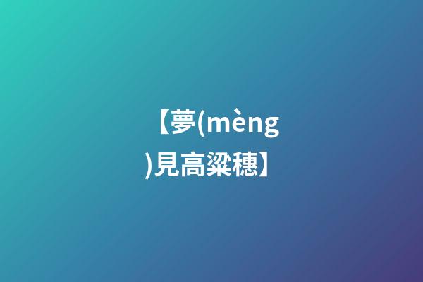 【夢(mèng)見高粱穗】