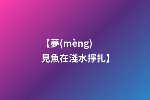 【夢(mèng)見魚在淺水掙扎】