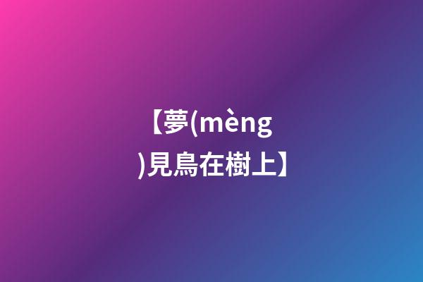 【夢(mèng)見鳥在樹上】