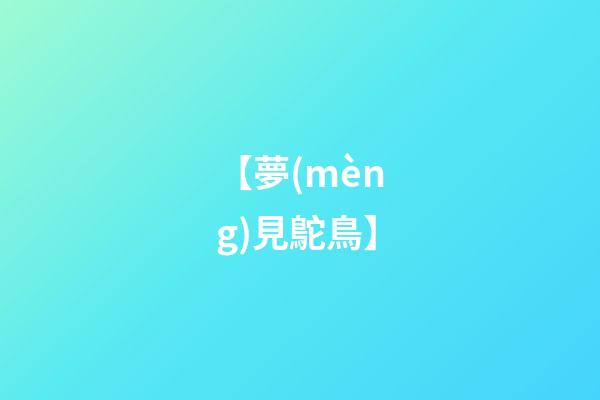 【夢(mèng)見鴕鳥】