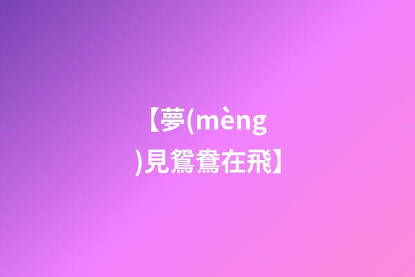 【夢(mèng)見鴛鴦在飛】