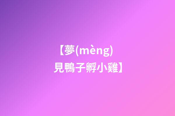 【夢(mèng)見鴨子孵小雞】