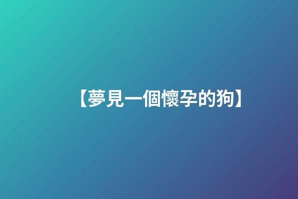 【夢見一個懷孕的狗】