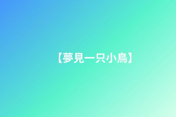 【夢見一只小鳥】