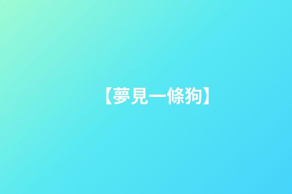【夢見一條狗】