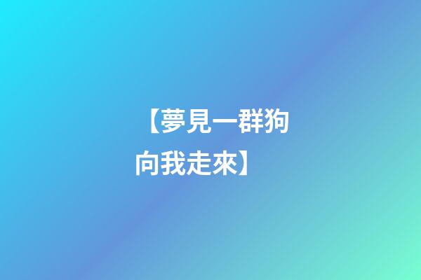 【夢見一群狗向我走來】