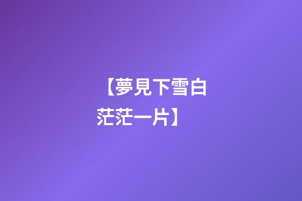 【夢見下雪白茫茫一片】