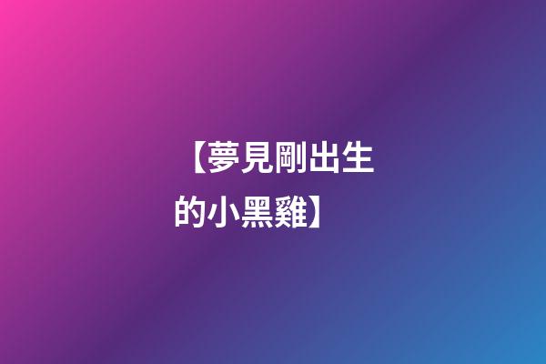 【夢見剛出生的小黑雞】