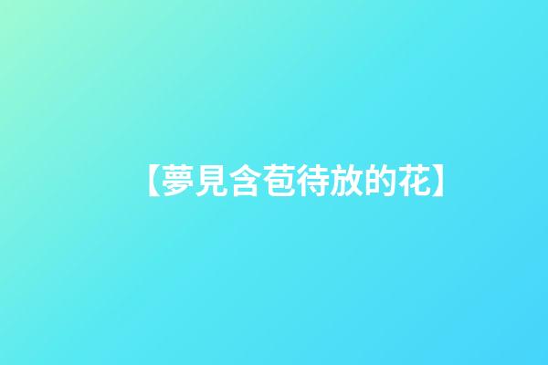 【夢見含苞待放的花】