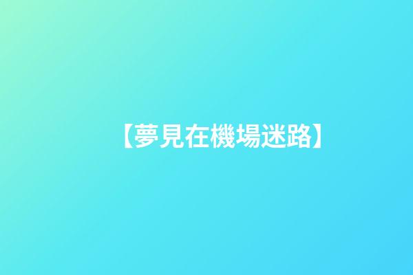 【夢見在機場迷路】