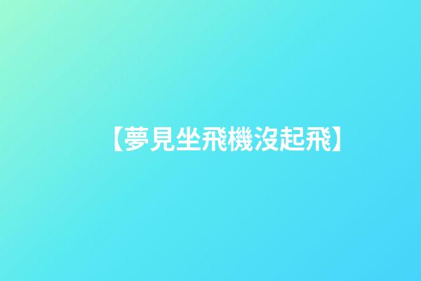 【夢見坐飛機沒起飛】
