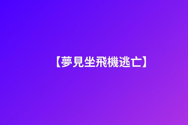 【夢見坐飛機逃亡】