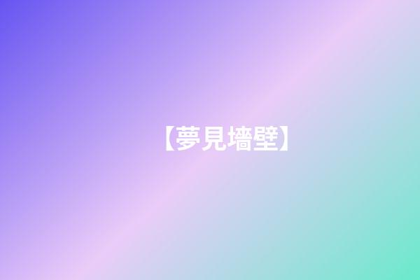 【夢見墻壁】